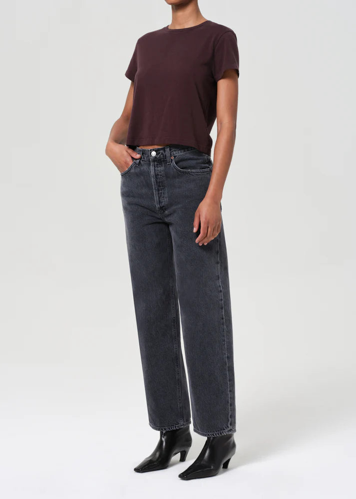 AGOLDE Adine Shirt in Kastanie